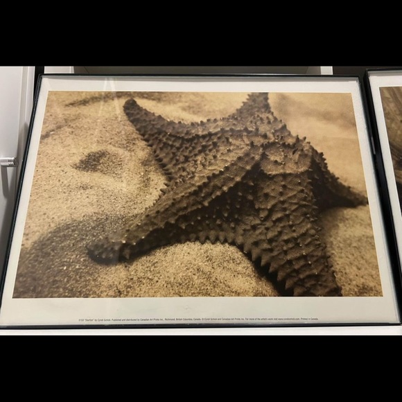 3 Beach Photograph Prints by Cyndi Schick - Picture 2 of 5